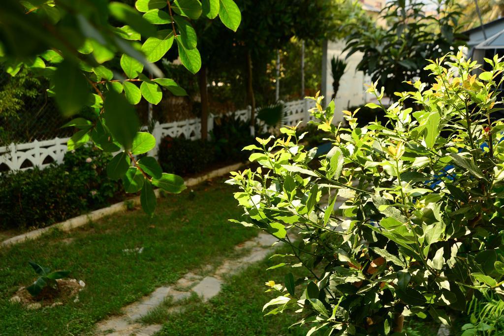 Pinar Hotel Alanya Eksteriør billede