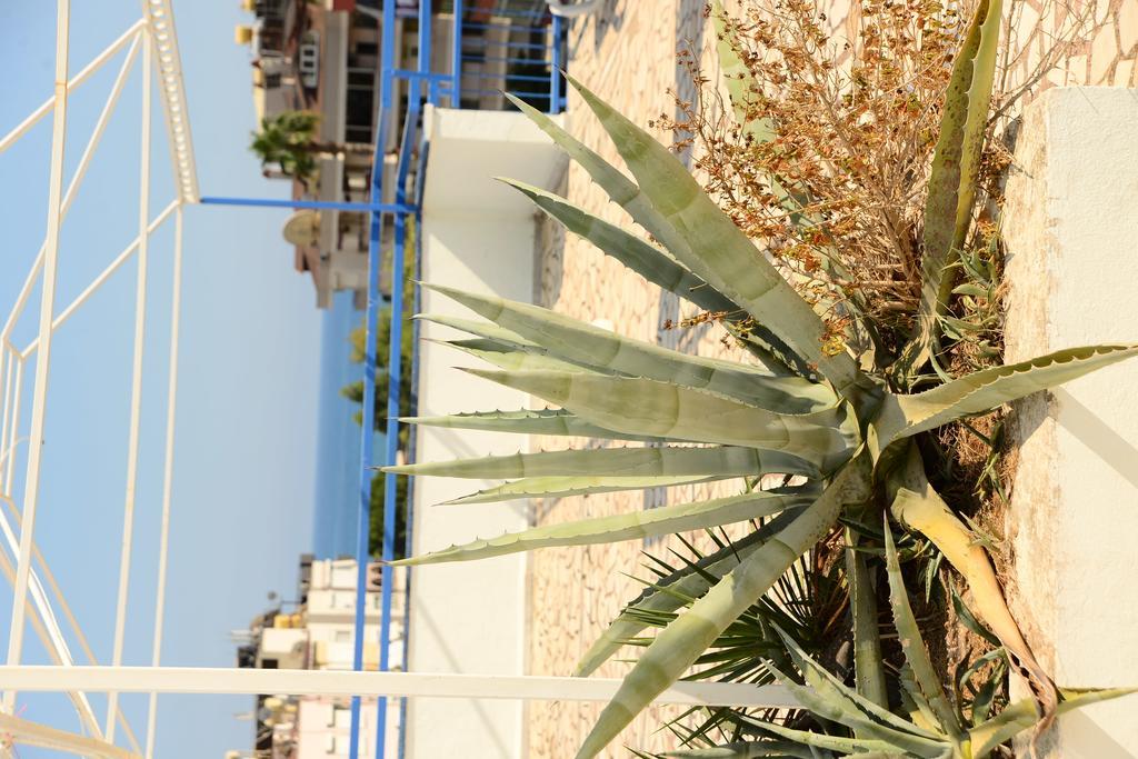 Pinar Hotel Alanya Eksteriør billede